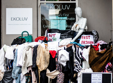 EKOLUV's Zero Waste Art Display Launch