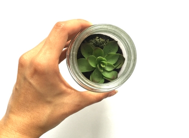 HOW TO GREEN YOUR SPACE: DIY TERRARIUM TUTORIAL