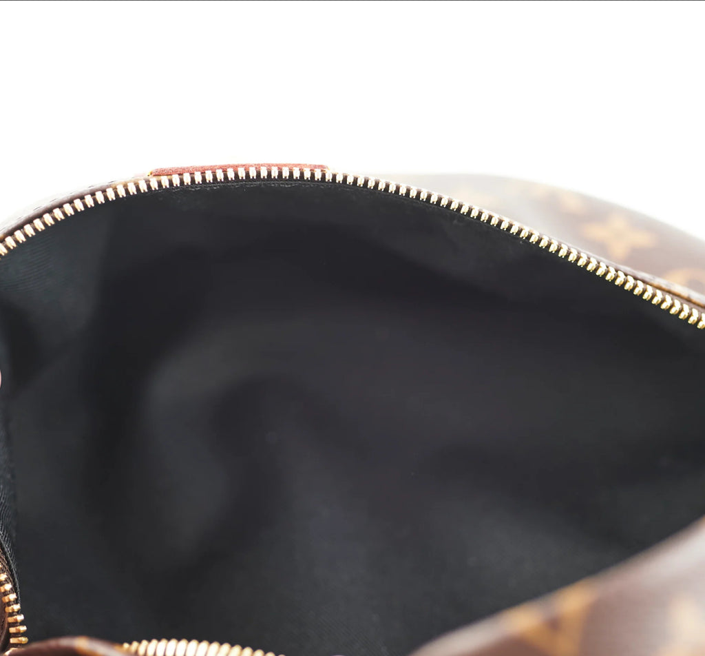 Louis Vuitton Monogram Bumbag