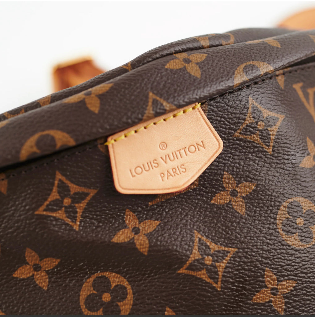 Louis Vuitton Monogram Bumbag