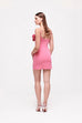 Rachel Gilbert Margot Mini Dress Pink (For Hire)