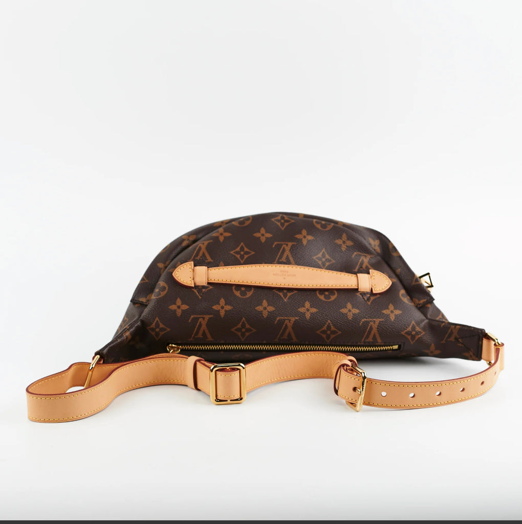 Louis Vuitton Monogram Bumbag