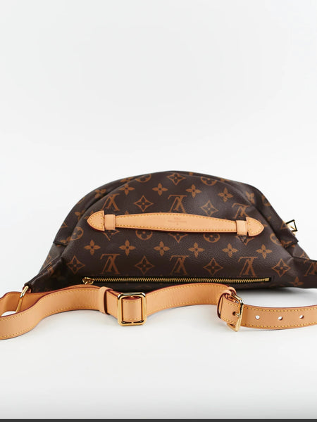 Louis Vuitton Monogram Bumbag