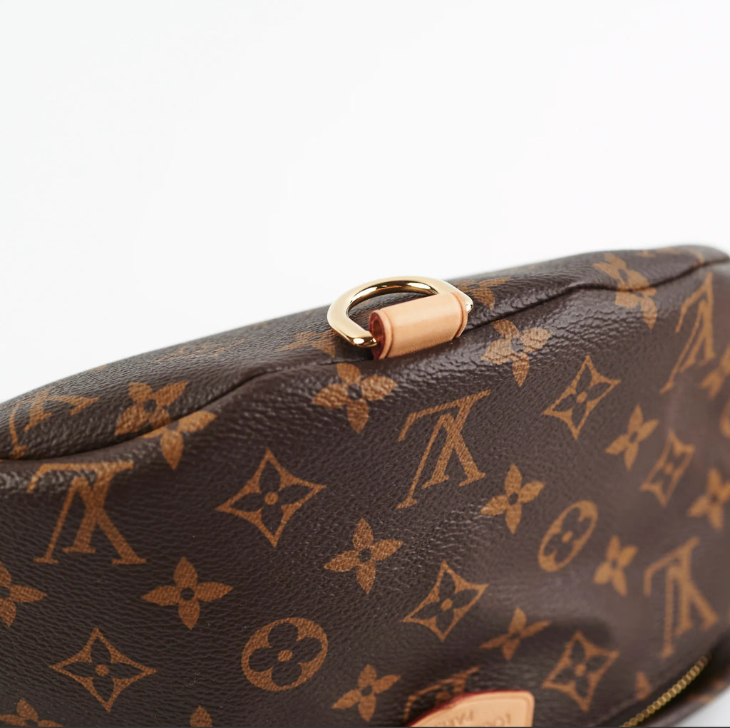 Louis Vuitton Monogram Bumbag