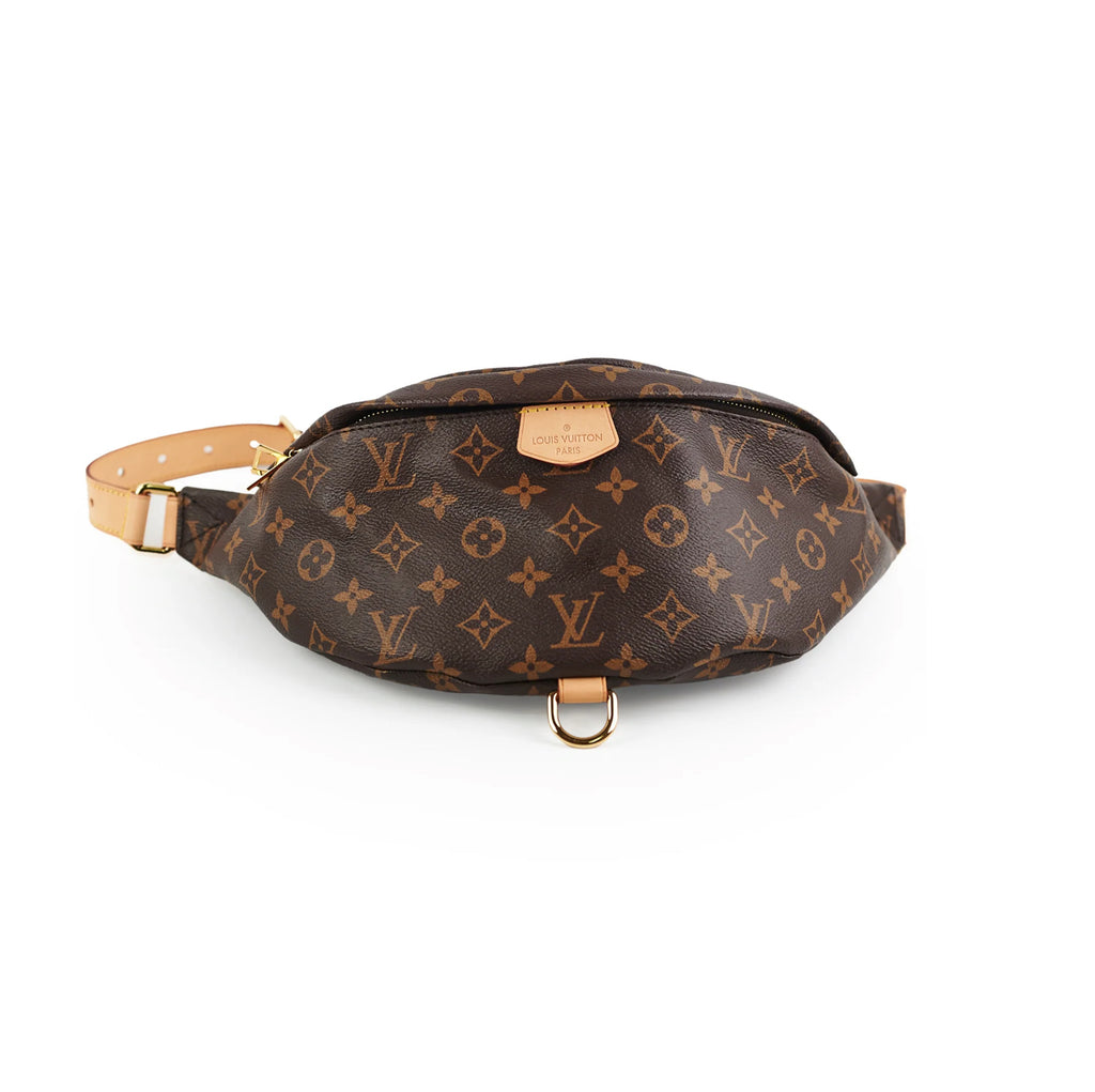 Louis Vuitton Monogram Bumbag