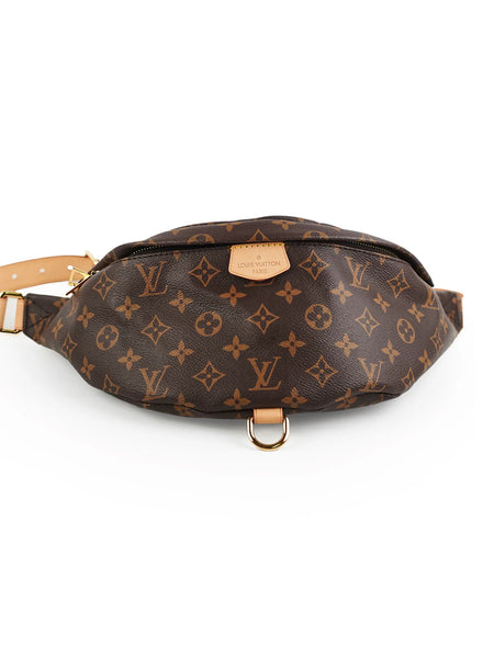 Louis Vuitton Monogram Bumbag