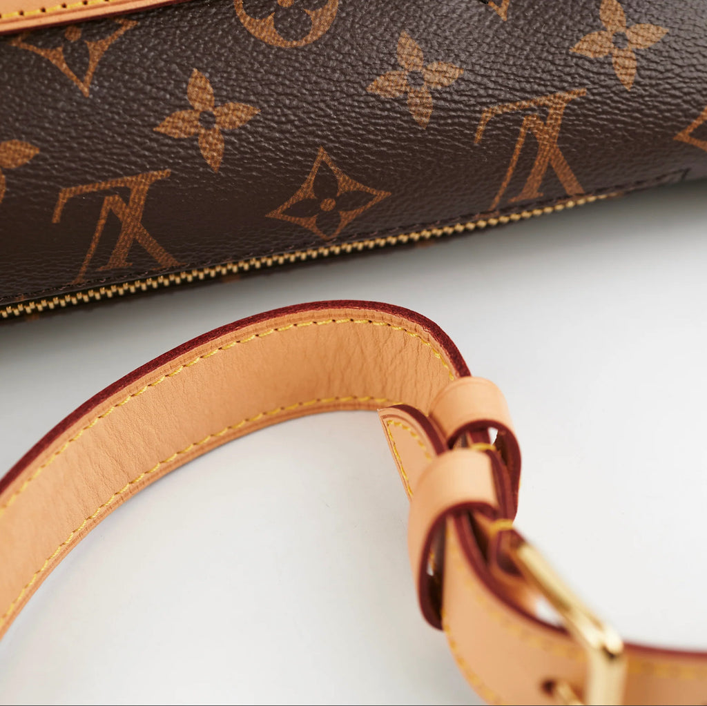 Louis Vuitton Monogram Bumbag