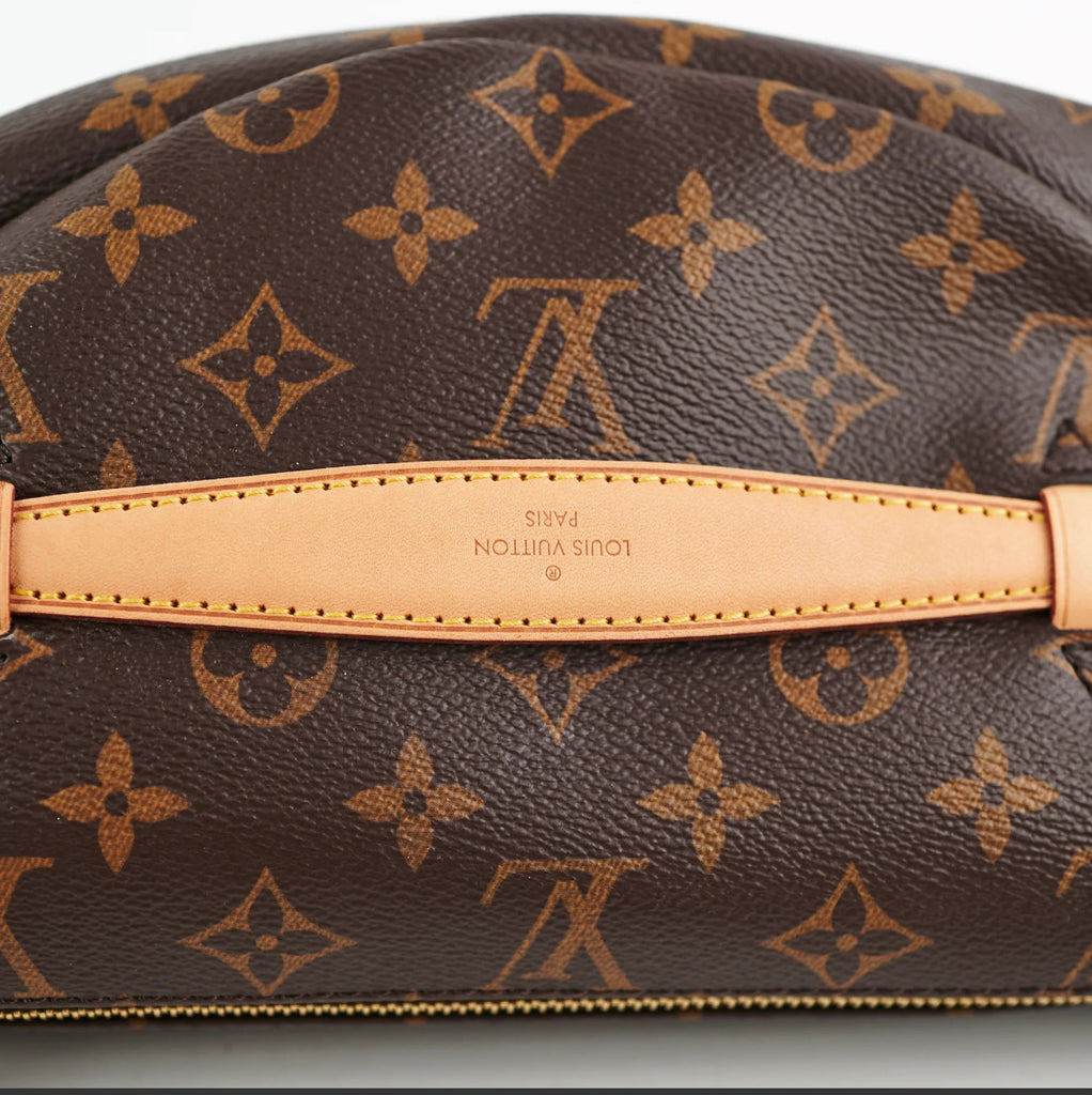Louis Vuitton Monogram Bumbag