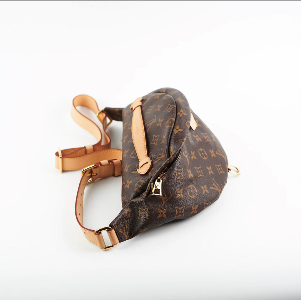 Louis Vuitton Monogram Bumbag