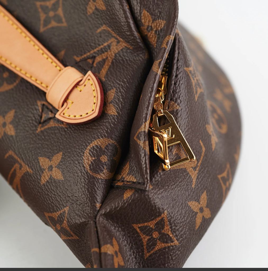 Louis Vuitton Monogram Bumbag
