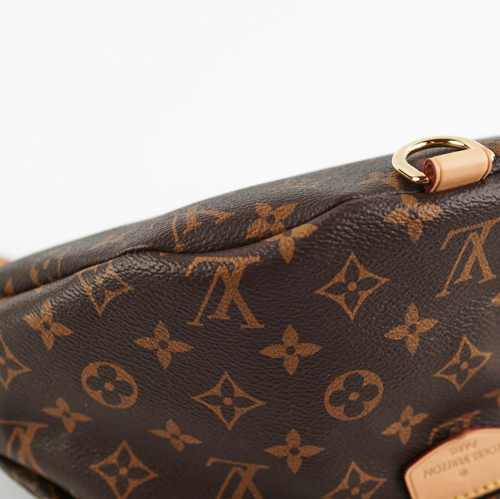 Louis Vuitton Monogram Bumbag