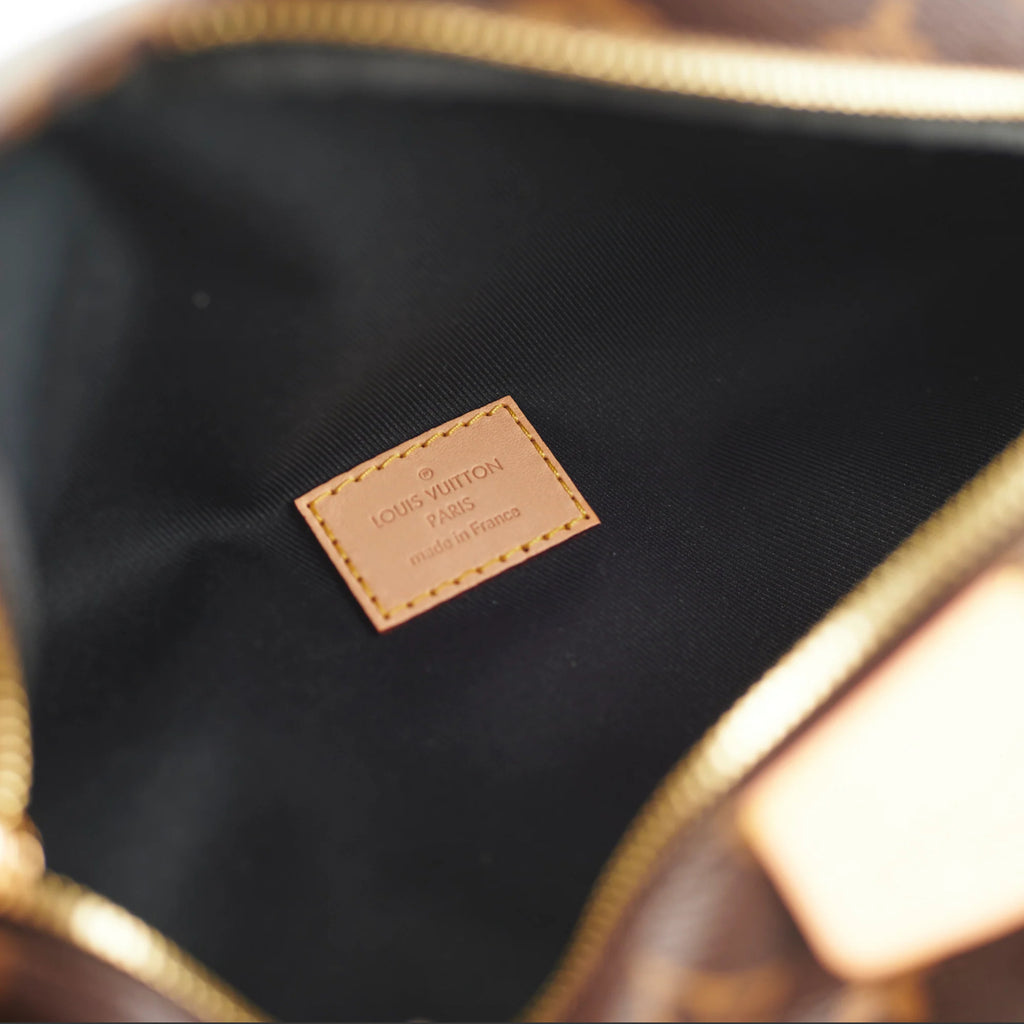 Louis Vuitton Monogram Bumbag
