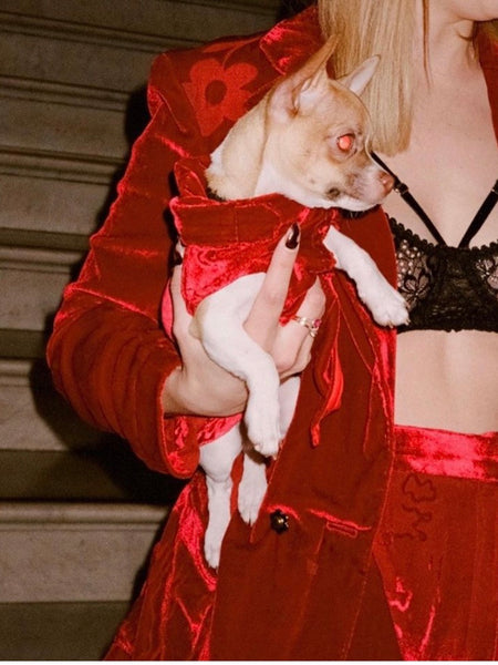 Uminori Atelier X RAMP TRAMP TRAMP STAMP Red Velvet Blazer and Pant Set (For Hire)