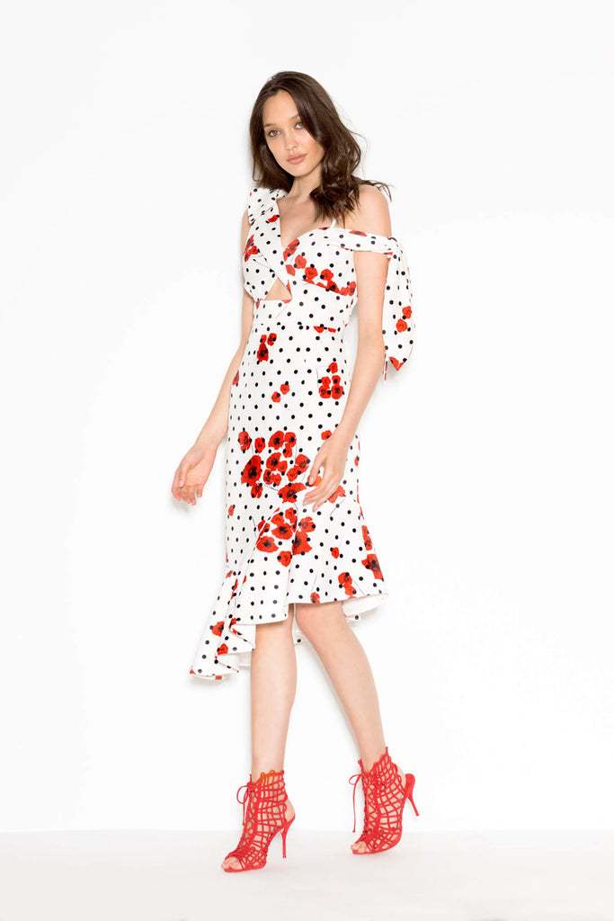 Poppy Dot Dress (For Hire)