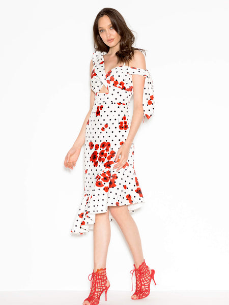 Poppy Dot Dress (For Hire)