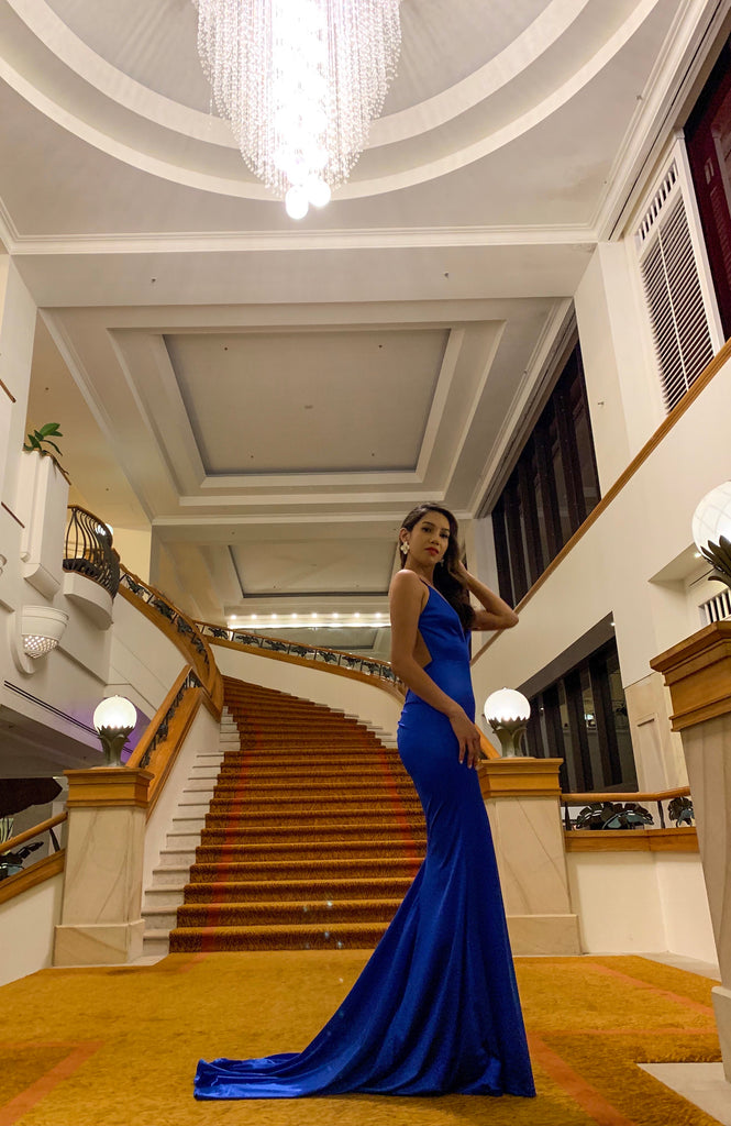 One Honey Sapphire Gown Dress (For Hire)