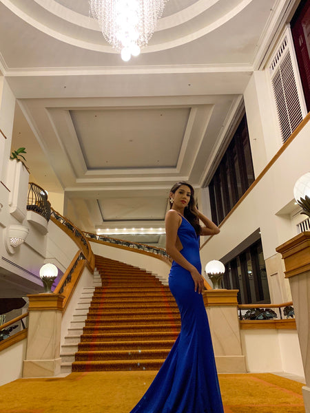 One Honey Sapphire Gown Dress (For Hire)