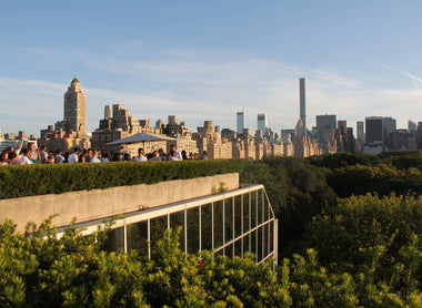 TOP SUSTAINABLE THINGS TO DO IN NYC