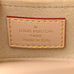 Louis Vuitton Monogram Top Handle Bag